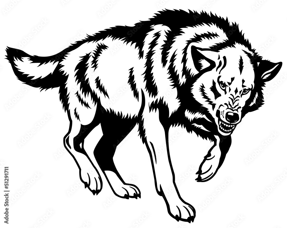 Obraz premium wilk czarny biały