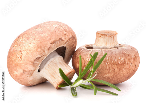 Brown champignon mushroom and rosemary leaves photo