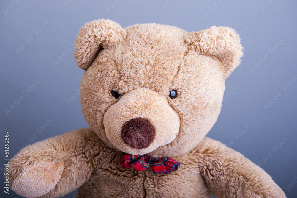 Teddy bear Teddy bear