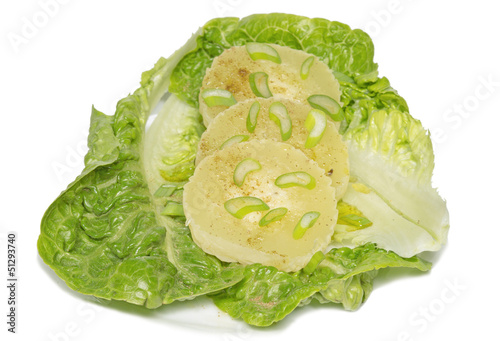 Sauermilchkäsescheiben auf Salat photo