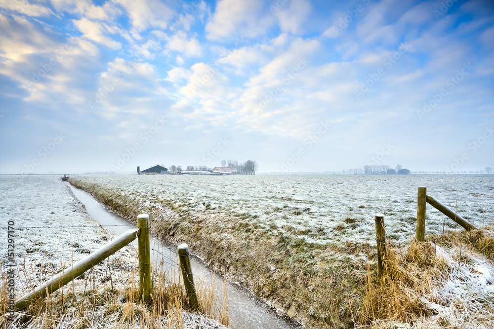 winter in Dutch farmland