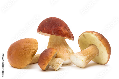 mushrooms close up isolated on white background