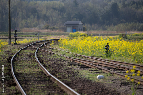 菜の花と線路