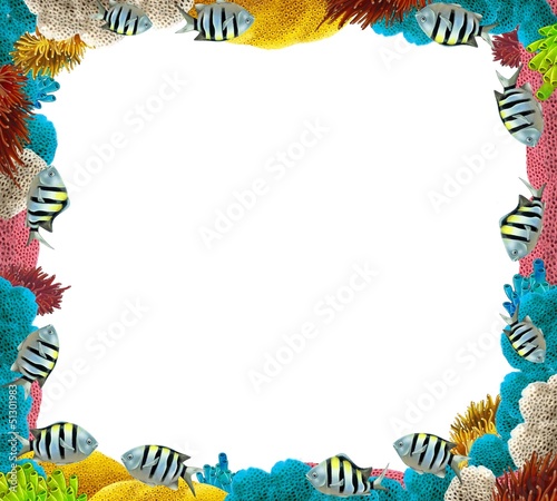 Fototapeta Naklejka Na Ścianę i Meble -  The coral reef - frame - border
