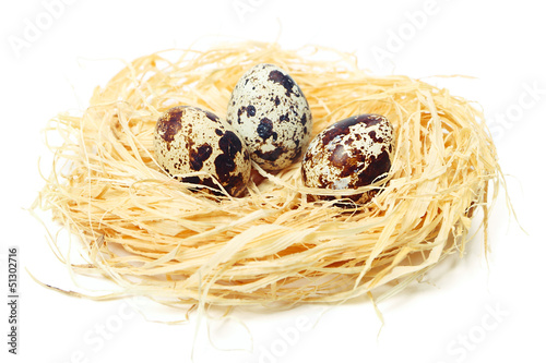 Quail eggs