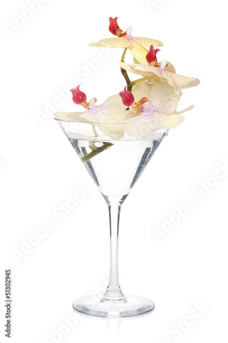 Fototapeta Naklejka Na Ścianę i Meble -  Orchid flowers in a cocktail glass