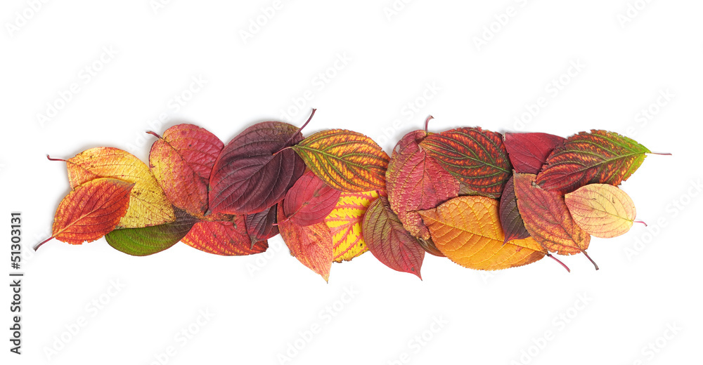 Autumn leaves Autumn leaves