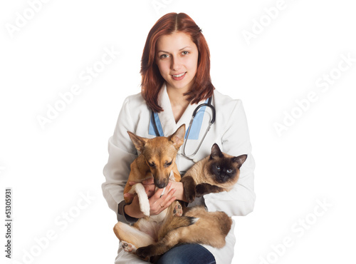 Fototapeta Naklejka Na Ścianę i Meble -  veterinarian holding a cat and a puppy