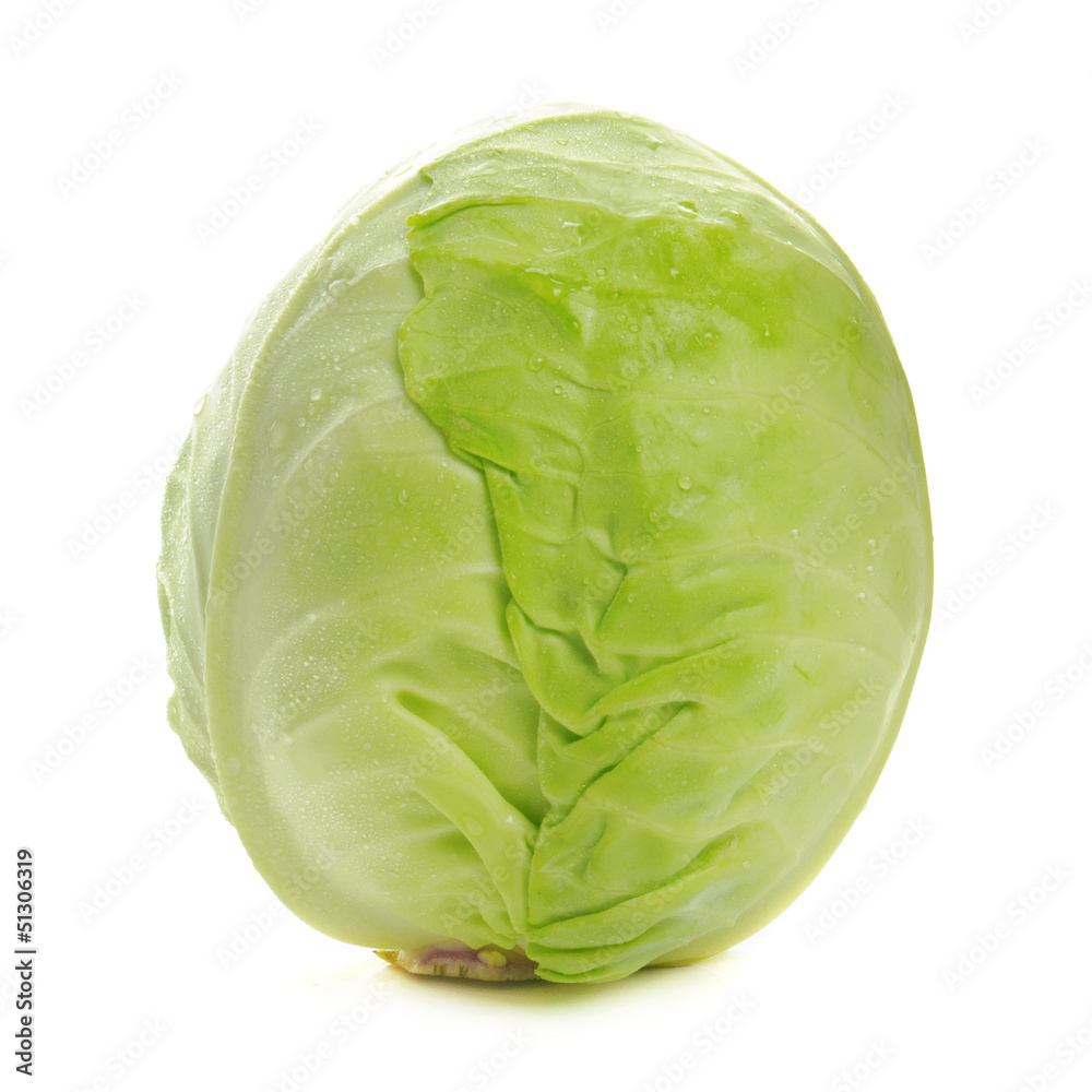 Cabbage isolated Cabbage isolated