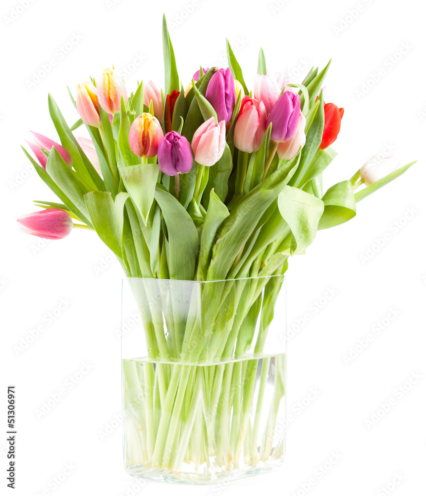 Colorful tulips in a glass vase isolated on a white background Colorful tulips in a glass vase isolated on a white background