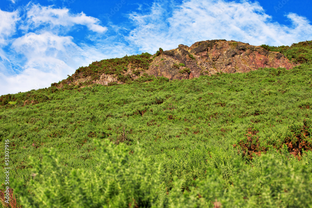 Red rock Red rock
