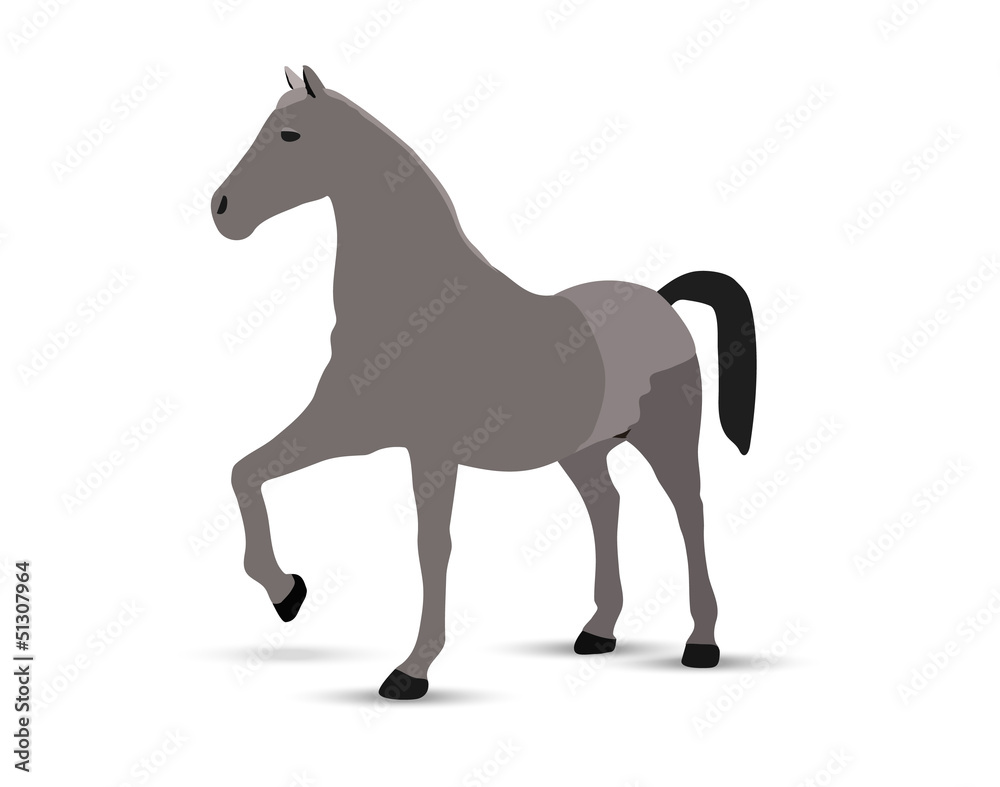 horse portrait  standing against white background