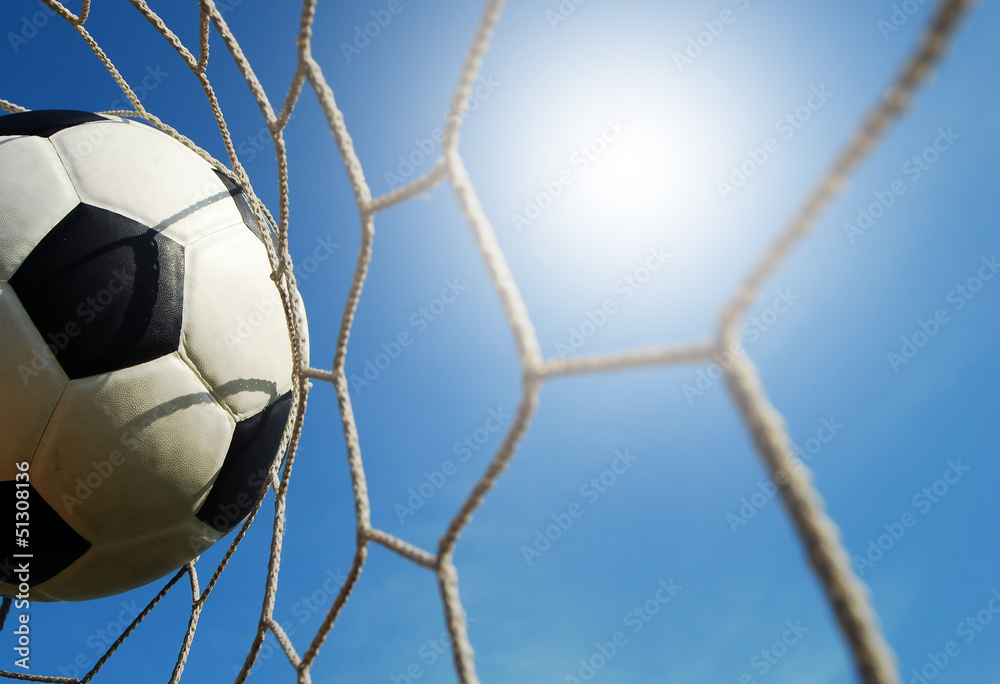 Naklejka premium football field soccer stadium on the green grass blue sky sport