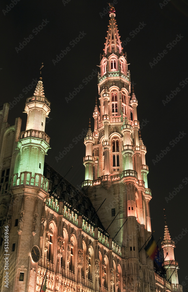 Fototapeta premium Brussels City Hall (Hotel de Ville) in Grand Place