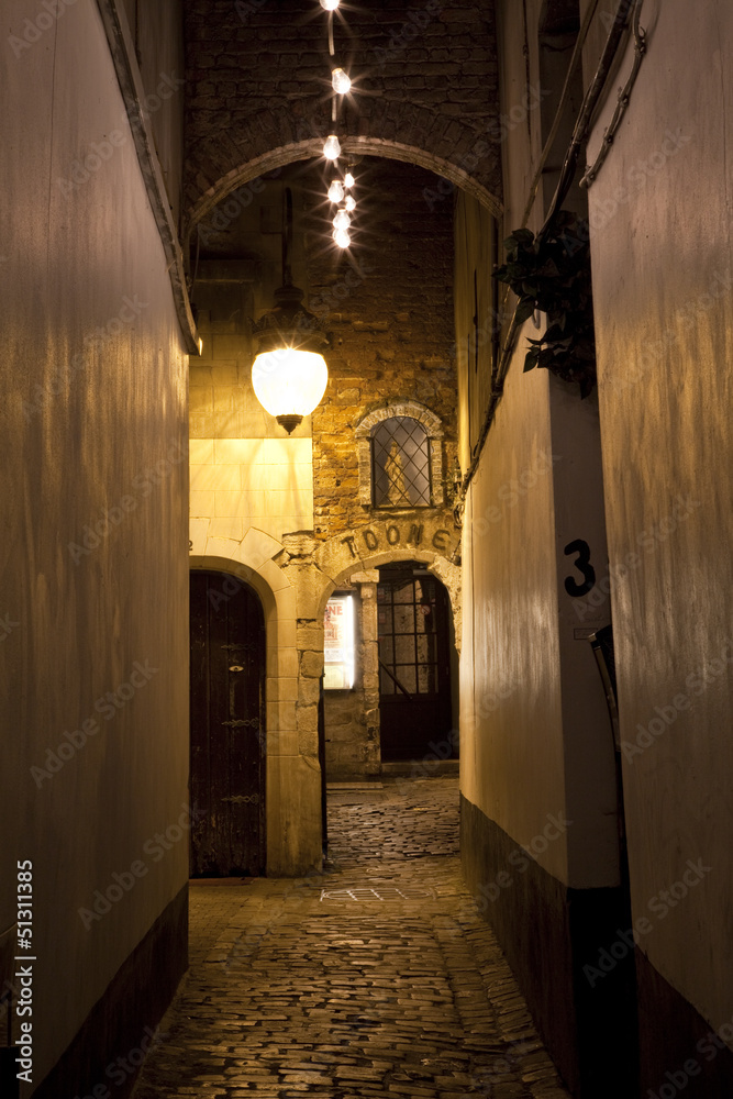 Alleyway Leading to Theater Toone in Brussels.