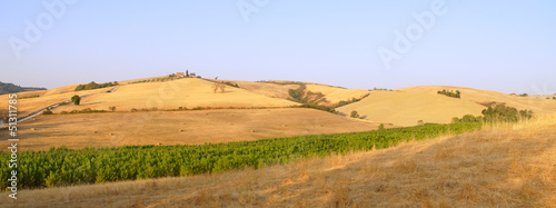 Landscape in Tuscany at dawn