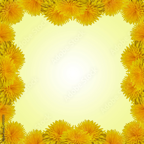 Dandelions frame