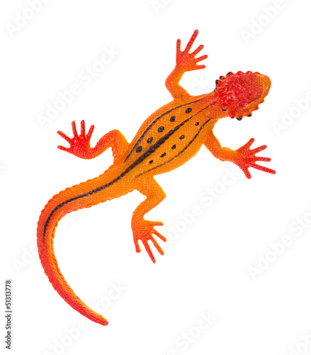 Orange lizard