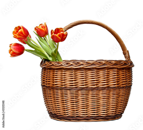 Basket with blooming tulips