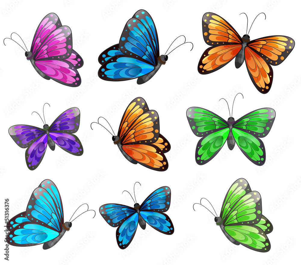 Nine colorful butterflies Nine colorful butterflies