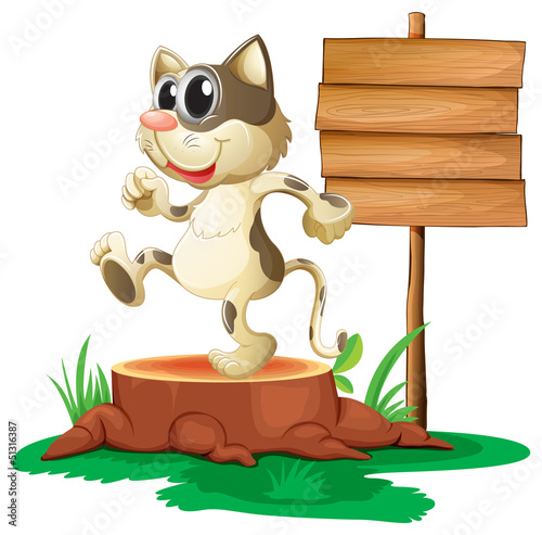 A cat above a trunk near an empty board