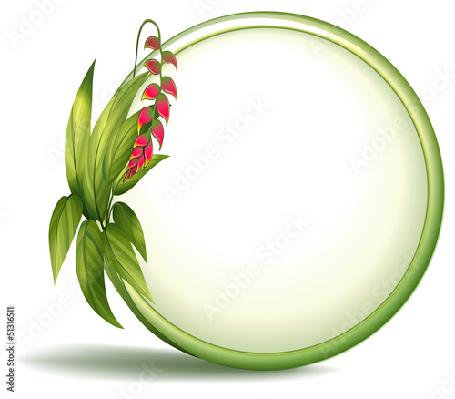 An empty circle border with elongated leaves