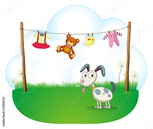 A puppy near the hanging baby clothes