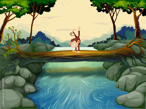 A monkey crossing the river