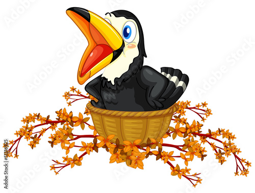A black bird inside the basket
