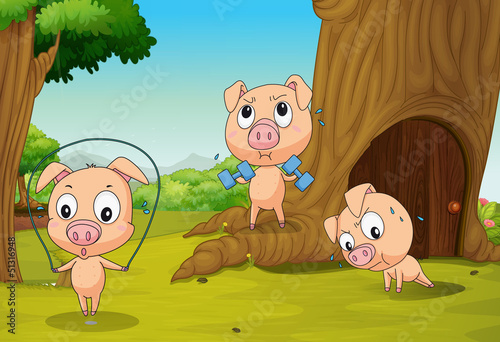 Three pigs at the forest