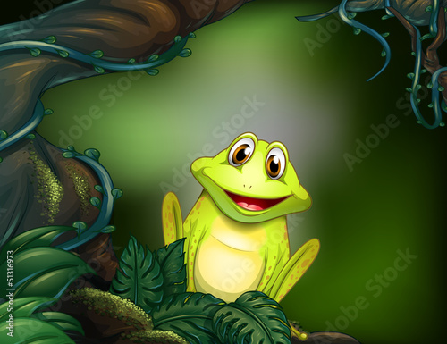 A green frog in the jungle