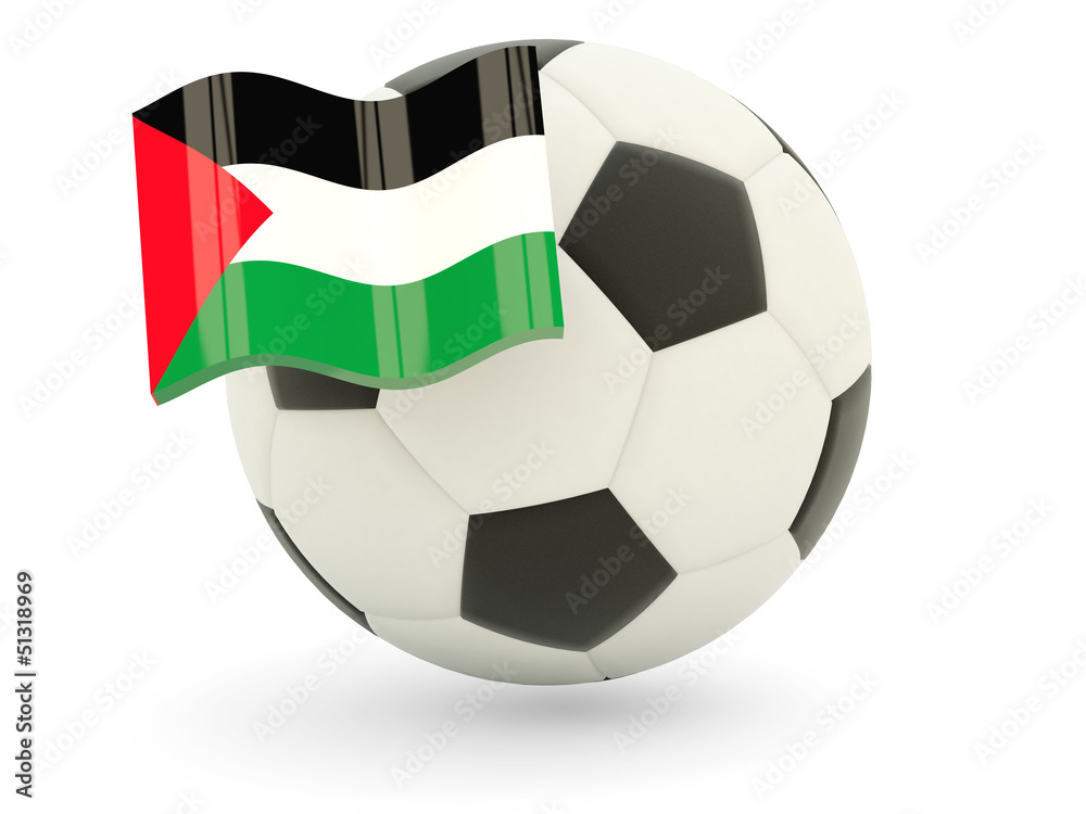Football with flag of palestinian territory Football with flag of palestinian territory