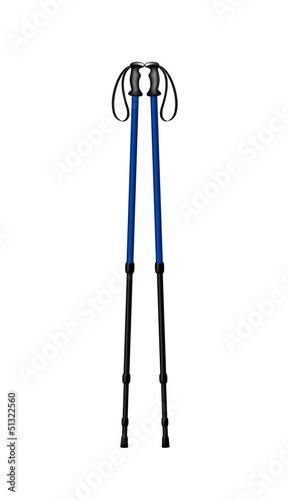 Hiking (trekking) poles