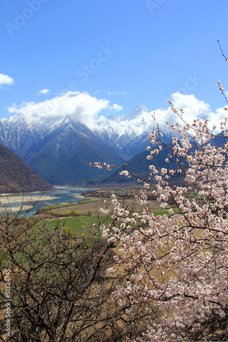 Nyingchi Canyon in a spring time, China, Tibet
