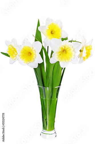 Beautiful spring three flowers : narcissus (Daffodil).