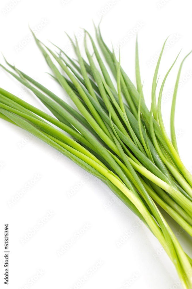 beautiful spring onions on a white background
