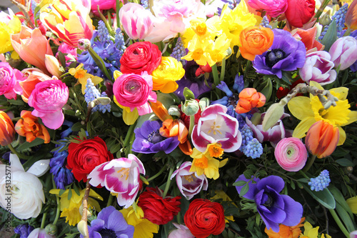Fototapeta Naklejka Na Ścianę i Meble -  Colorful spring flowers