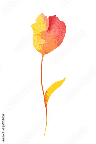 Fototapeta Naklejka Na Ścianę i Meble -  Beautiful watercolor flower