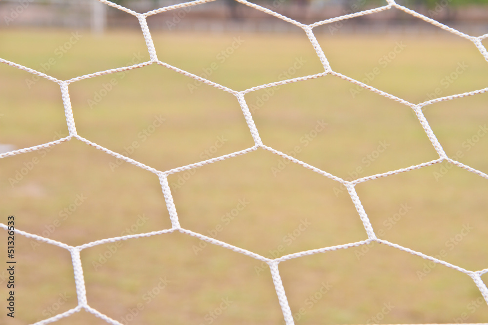 football net, green grass football net, green grass