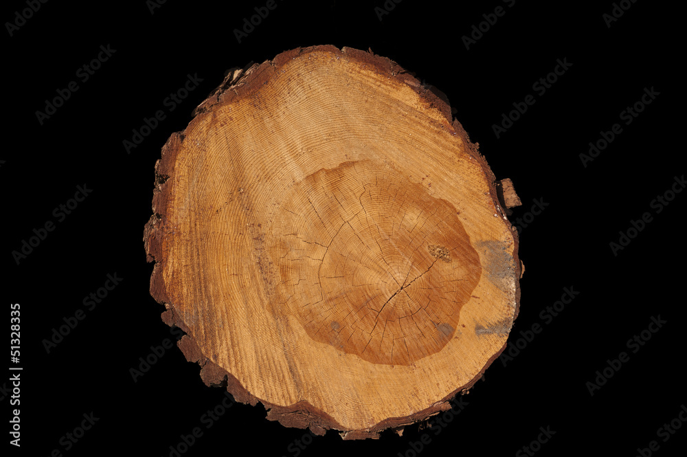 Cut tree trunk giving a view of the yearrings isolated on black Cut tree trunk giving a view of the yearrings isolated on black