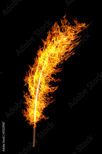 bright orange flame feather isolated on black