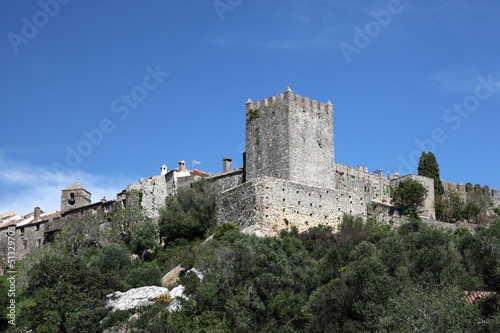 Fortress Castellar de la Frontera, Andalusia Spain photo