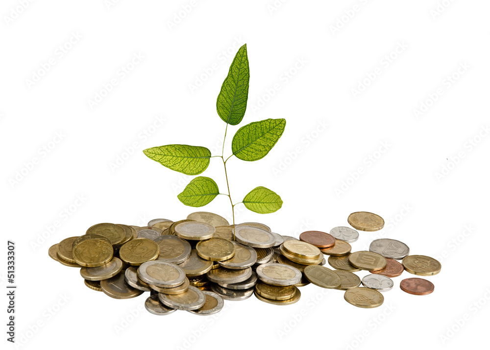 Sapling growing from coins Sapling growing from coins