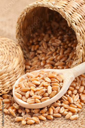 wheat grains in basket and in wooden spoon