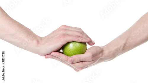 adult man hands holding green apple