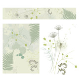 floral background, dandelion