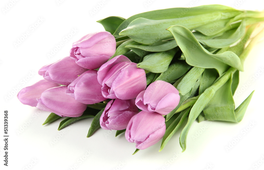 Beautiful bouquet of purple tulips, isolated on white Beautiful bouquet of purple tulips, isolated on white