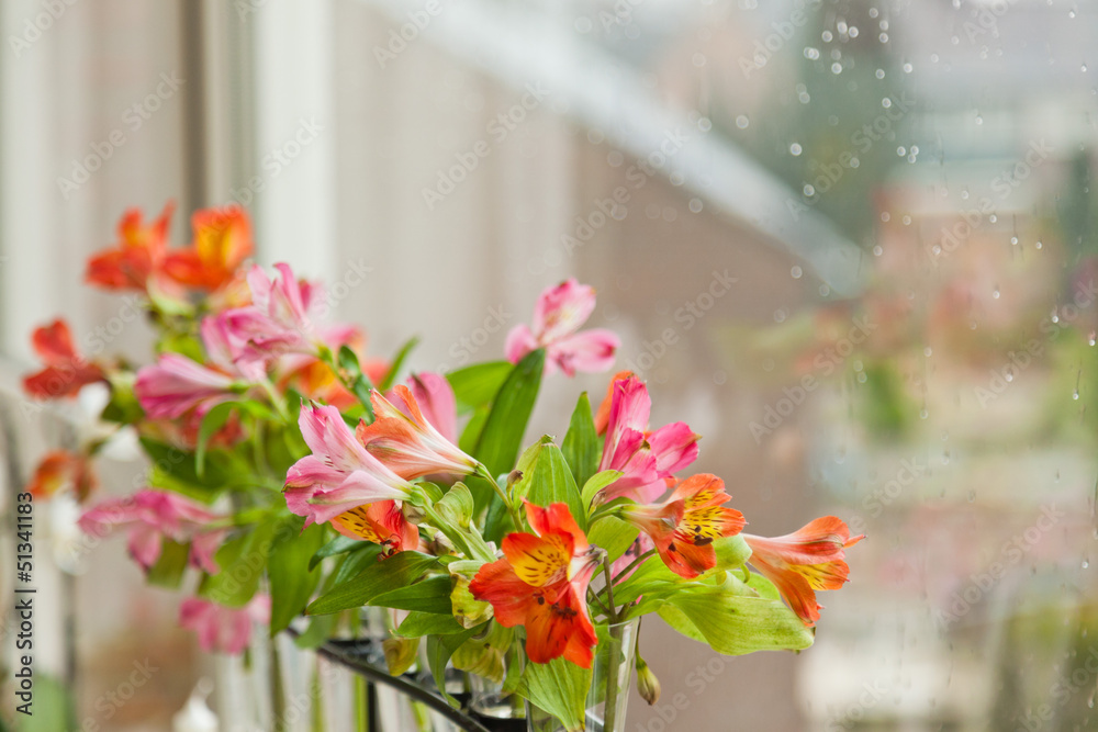 Colorful flowers standing in front of window with raindrops.