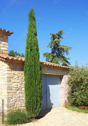 Photos Cyprès décoratif