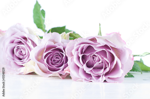 Pastel shade roses